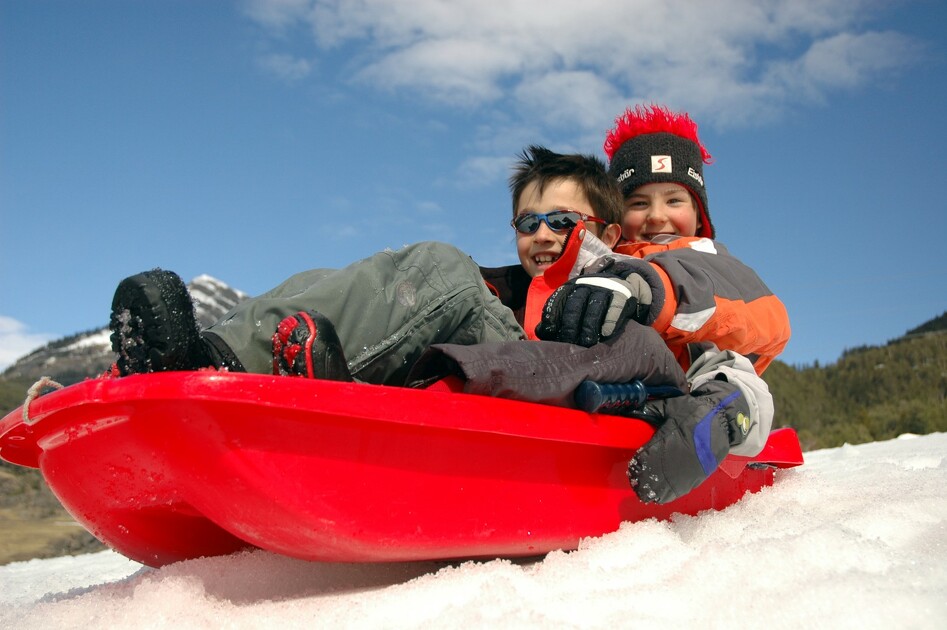 Children on a sled