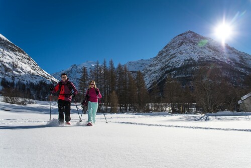 Sortie raquettes dans le calme de la nature en hiver