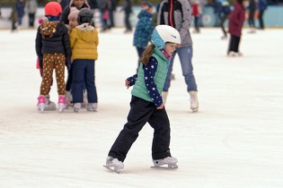 The skating rink goes wild