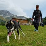 © val-cenis-lanslebourg-cani-rando - Husky Adventure