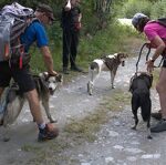 © val-cenis-ete-cani-randonnee_husky-adventure - Husky Adventure