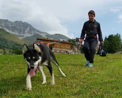 Randonnée avec un chien