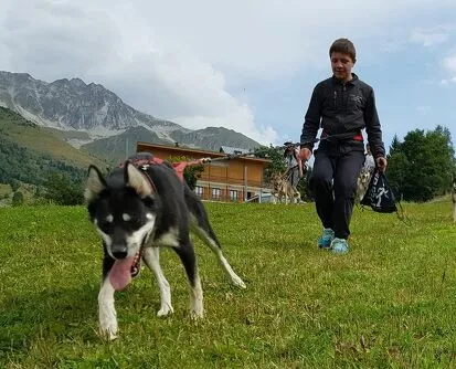 Randonnée avec un chien