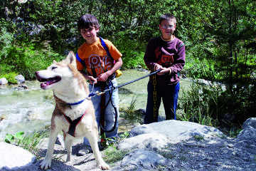 © Photo - Husky Adventure