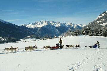 © Conduite d'attelage de chiens de traineaux à Bessans avec Husky adventure - MO - François Charon - OT Aussois
