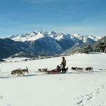© Conduite d'attelage de chiens de traineaux à Bessans avec Husky adventure - MO - François Charon - OT Aussois