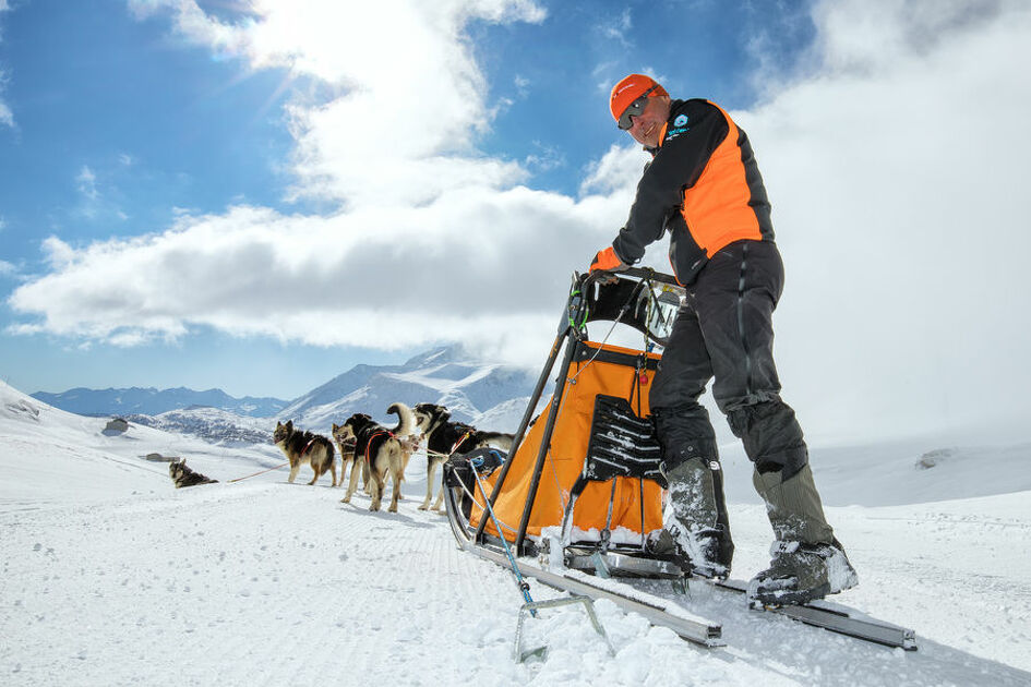 © Conduite d'attelage de chiens de traineaux à Bessans avec Husky adventure - Husky Adventure