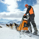 © Conduite d'attelage de chiens de traineaux à Bessans avec Husky adventure - Husky Adventure