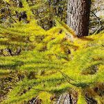 © Refuge d'Avérole - Un vallon authentique en famille - Rando Pédestre 2 jours - K.Mandray