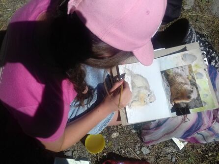 Stage d'initiation à l'aquarelle