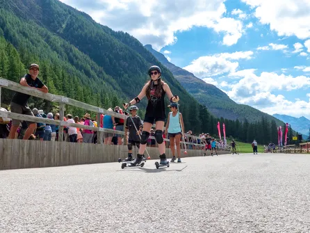 Nordic Bison Ski Roue