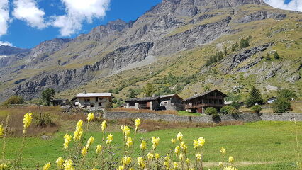 © Le hameau du Villaron à Bessans - Bénédicte Filliol - OT HMV