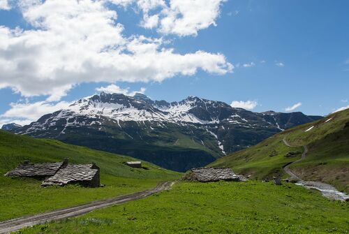 L'alpagiste, le vallon et le Yogi