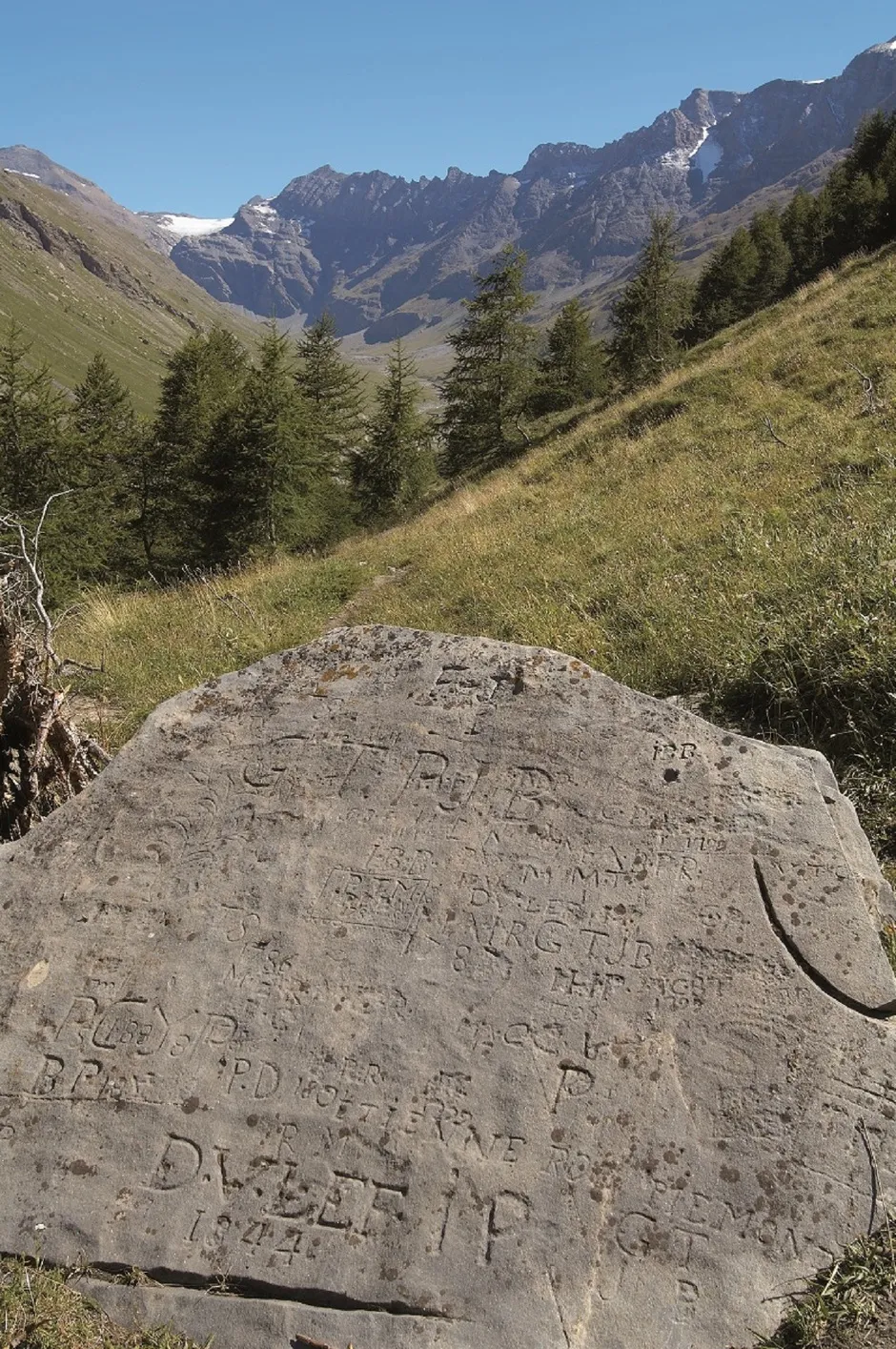 Alpine Walking Trail - OT HMV