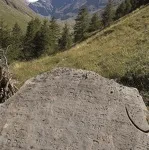 Alpine Walking Trail - OT HMV