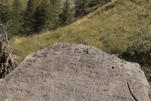 Alpine Walking Trail