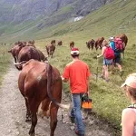 © Alpages du Vallon - K. Routin
