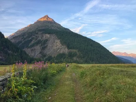 Lavesse Trail