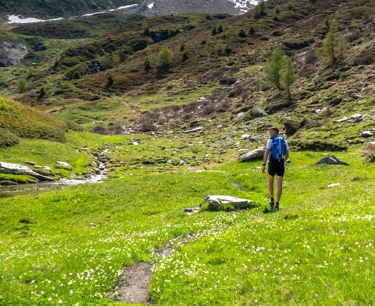Trail to the Avérole refuge via the hamlet - OTHMV - S. Romance