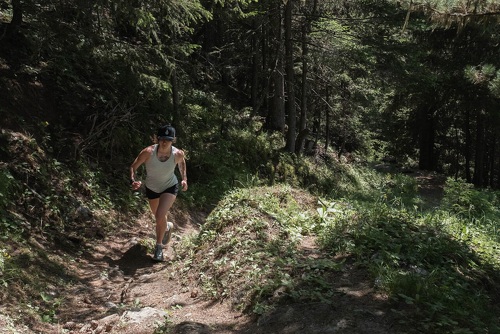 Trail du sentier des alpes