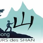 © Cours de Qi Gong avec Fleurs des Shan - Xavier Lett