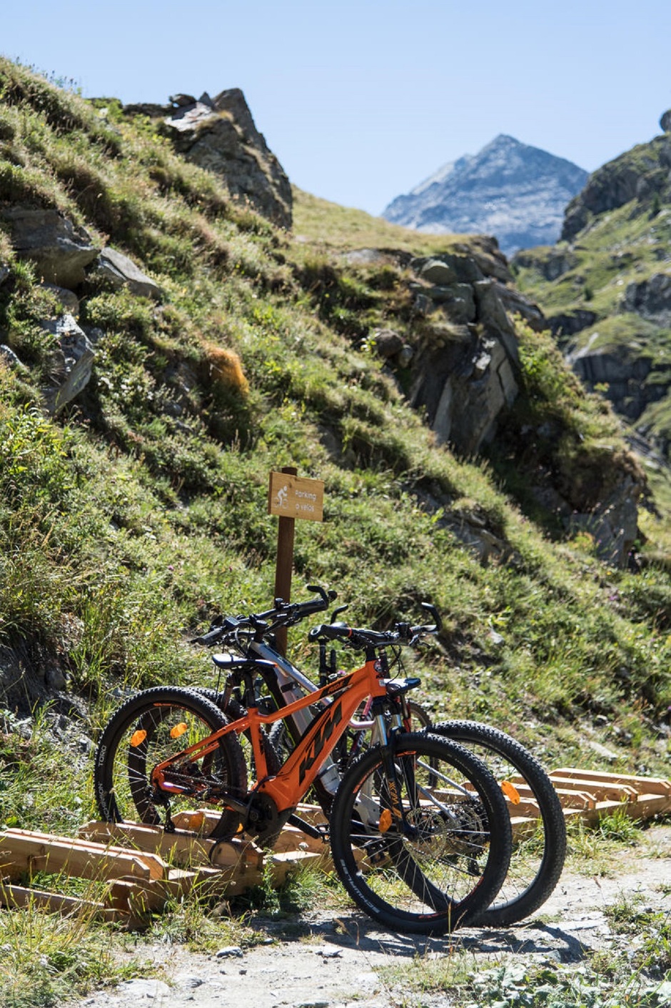 © Découverte en vélo - Sa majesté Charbonnel sur son lit d’Avérole_Bessans - OTHMV - A Pernet