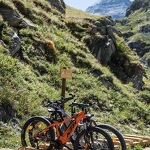 © Découverte en vélo - Sa majesté Charbonnel sur son lit d’Avérole_Bessans - OTHMV - A Pernet