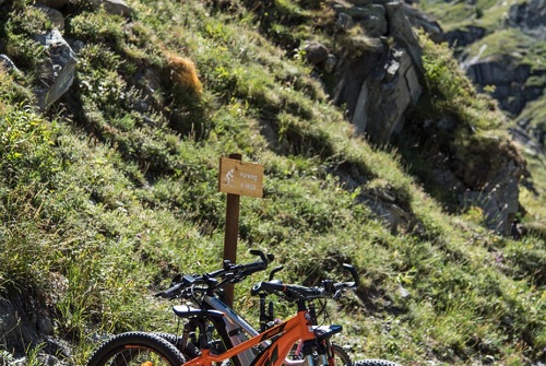 Découverte en vélo - Sa majesté Charbonnel sur son lit d’Avérole