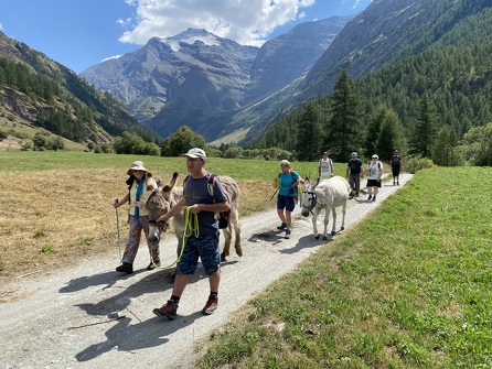 Diablot'ânes - randonnées avec ânes bâtés