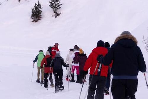 Snowshoe Trapper Evening