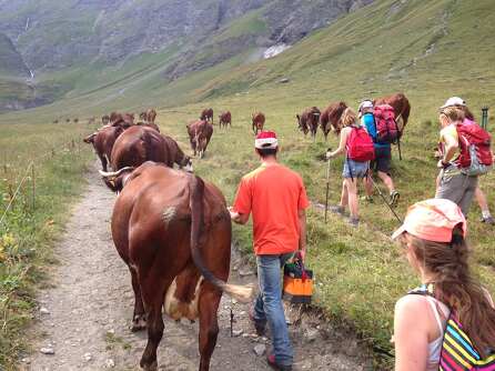 Vallon d&#039;en Haut
