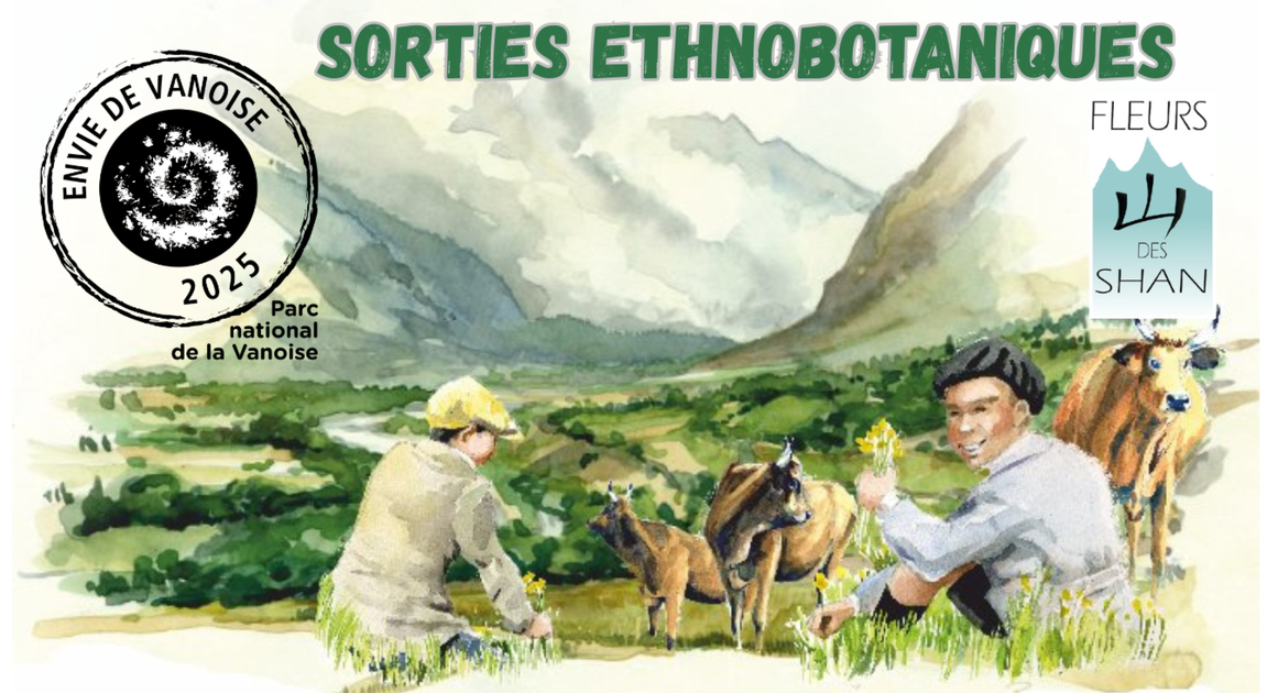 © Sortie ethnobotanique - Xavier Lett