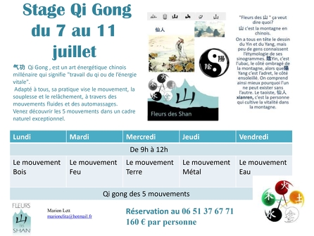 Qi Gong workshop