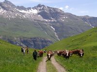 © Instants Beaufort - De bas en haut_Bessans - OTHMV