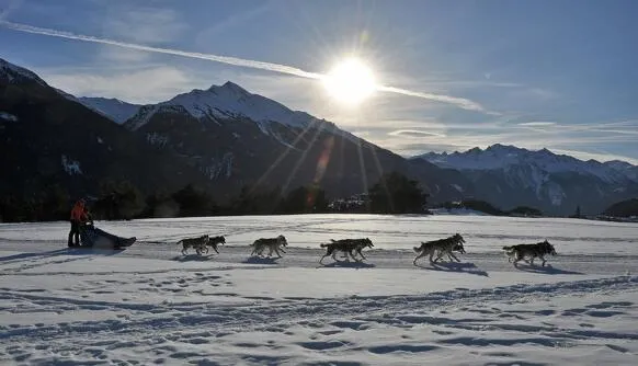 Baptême en chiens de traîneau sur le domaine nordique du Monolithe