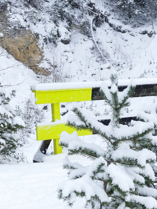 Itinéraire piéton raquettes  : Le chemin du Petit Bonheur