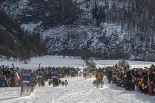 © La Grande Odyssée Royal Canin - Bessans - Benoit Diacre