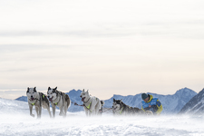 © La Grande Odyssée Royal Canin - Bessans - Benoit Diacre