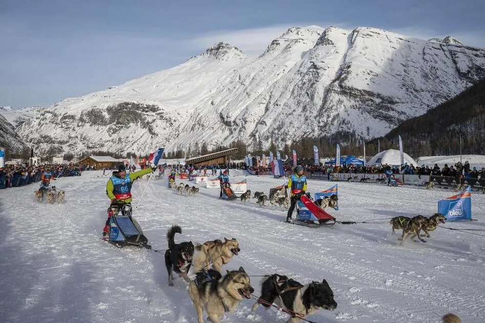 © La Grande Odyssée Royal Canin - Bessans - B.Diacre