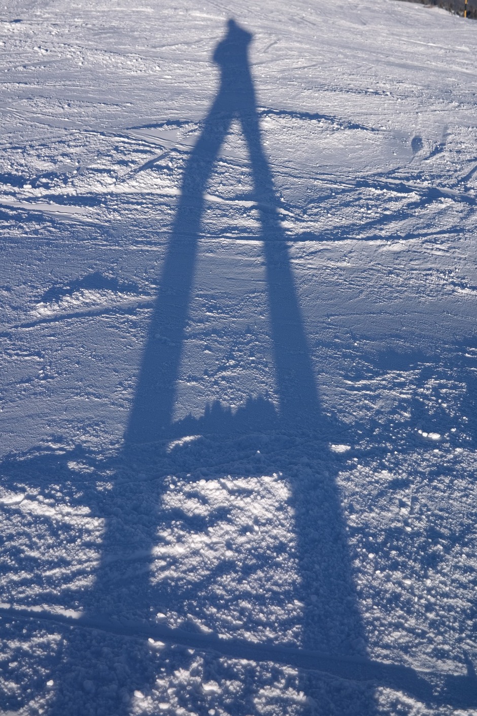 © bessans-rallye-photos - Pixabay