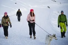 © Cani-randonnée en hiver avec des chiens de traîneau à Bessans - Husky-Adventure