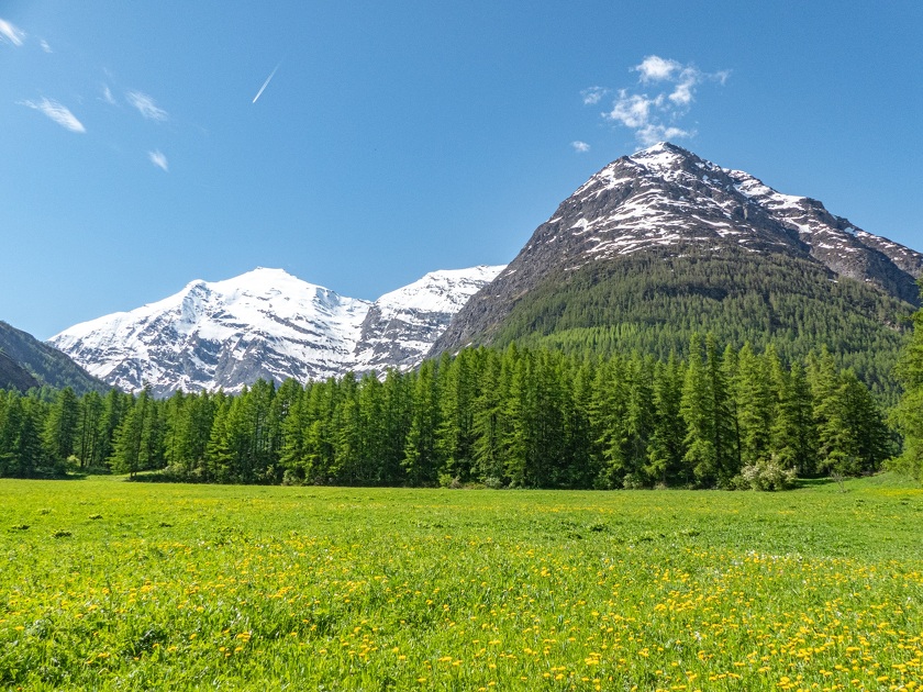 © Découverte en vélo - Sa majesté Charbonnel sur son lit d’Avérole_Bessans - OTHMV - B Filliol