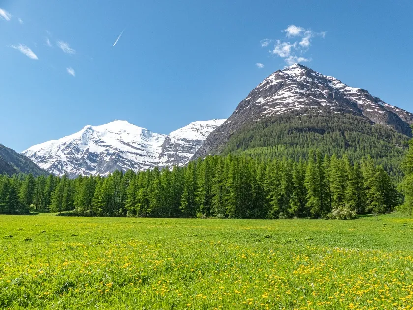 © Mountain Bike Discovery - Majesty Charbonnel on his bed of Avérole_Bessans - OTHMV - B Filliol