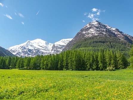 Découverte en vélo - Sa majesté Charbonnel sur son lit d’Avérole