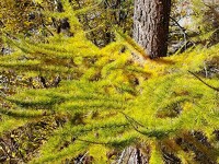 © 2-day hike from the Refuge d'Avérole - Stage 1 - From the Vincendières to the Refuge d'Avérole - K.Mandray