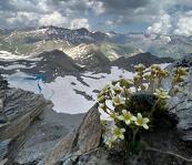 © High altitude hike: La Pointe de la Met 3041m_Bessans - Terred'Alpinisme