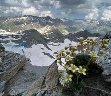 Altitude hike: La Pointe de la Met 3041m