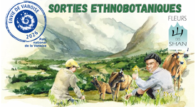 © Sortie ethnobotanique à Bessans - M.Lett