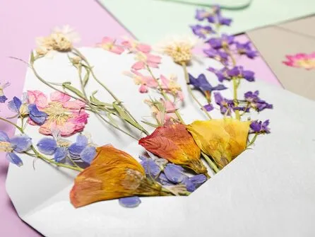 Nature Workshop - Creating a Plant-Based Painting and Card