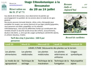 © Stage ethnobotanique_Bessans - M.Lett